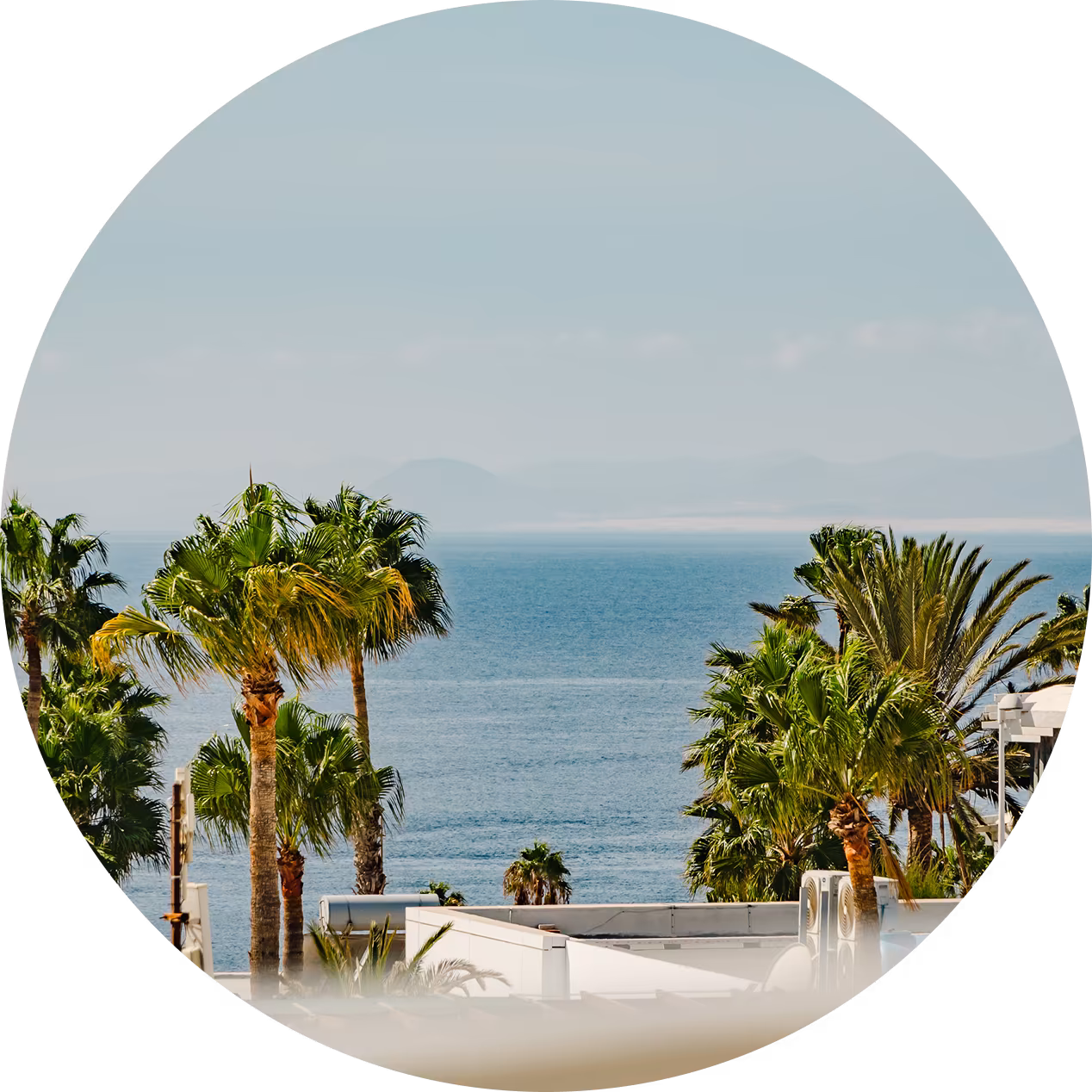 Las Vistas 247